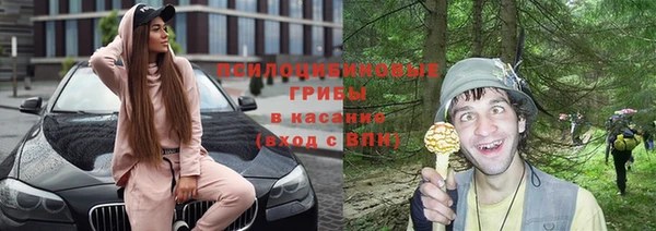 Альфа ПВП Белокуриха