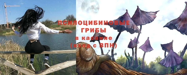 jwh Богородицк